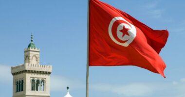 Tunisia, proteste dei giovani contro la crisi economica
